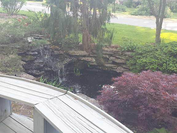 coi pond with waterfall