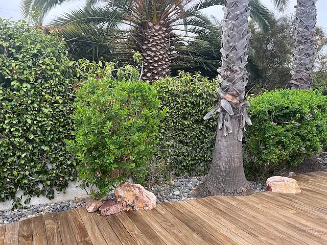 Private backyard No one behind