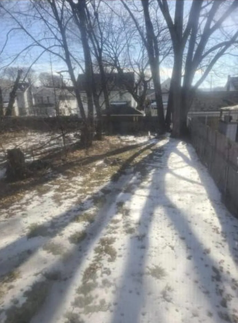 1 bed, 950 sqft, $900 — Photo 3