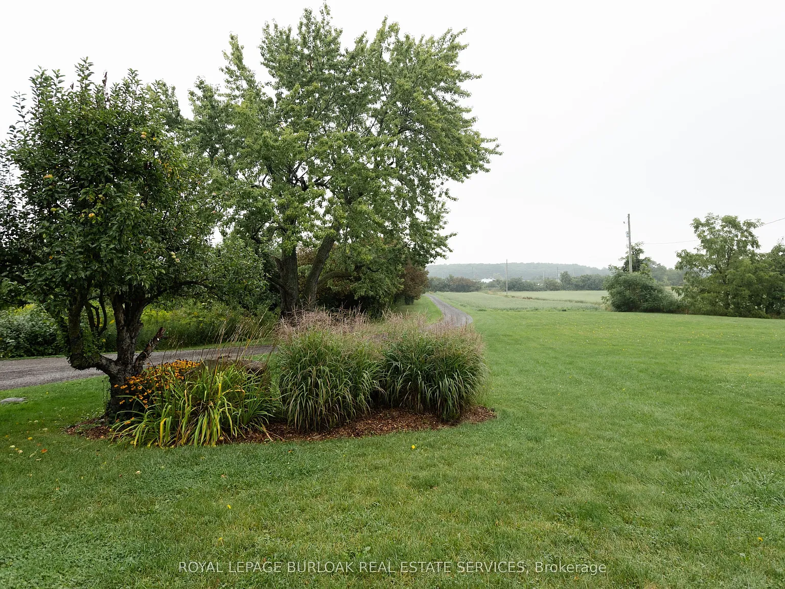 6 bed, $4,500 — Photo 3
