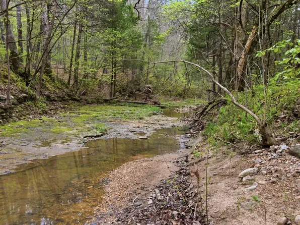 000 Highway 32, Licking, MO 65542