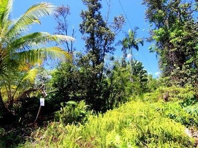 12th Avenue Koali, Keaau, HI, 96749