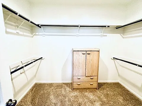 Master Closet