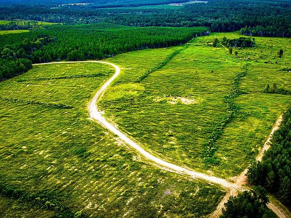 Dji Fly 20250724 192150 374 1753402926827 Photo Optimized