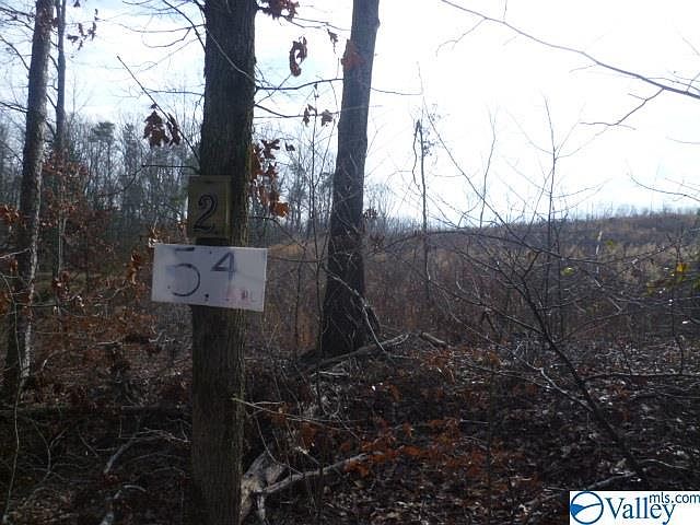 2nd image of 2 Long Hollow Cir