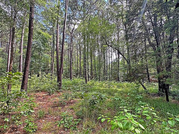 2nd image of 7485 County Road 3907