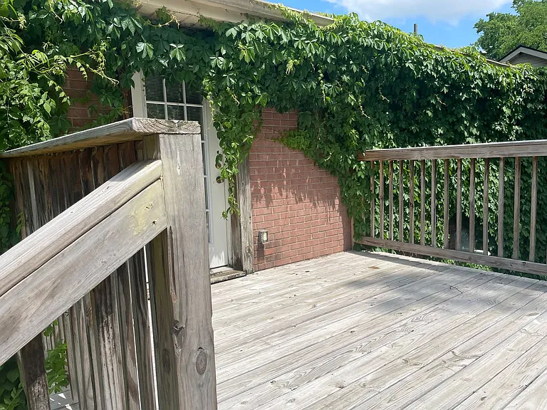 309 Melvin Jones Dr — Photo 3