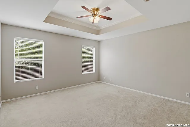 25537 Gold Yarrow — Photo 14