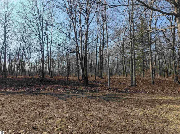 N/a Huron Woods Dr, Tawas City, MI 48763
