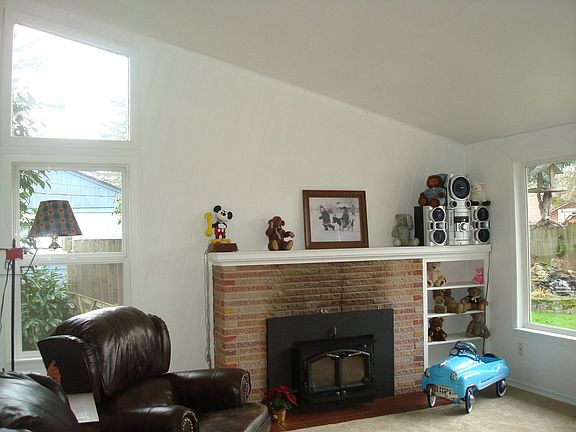 Vaulted Ceiling in Living Room
