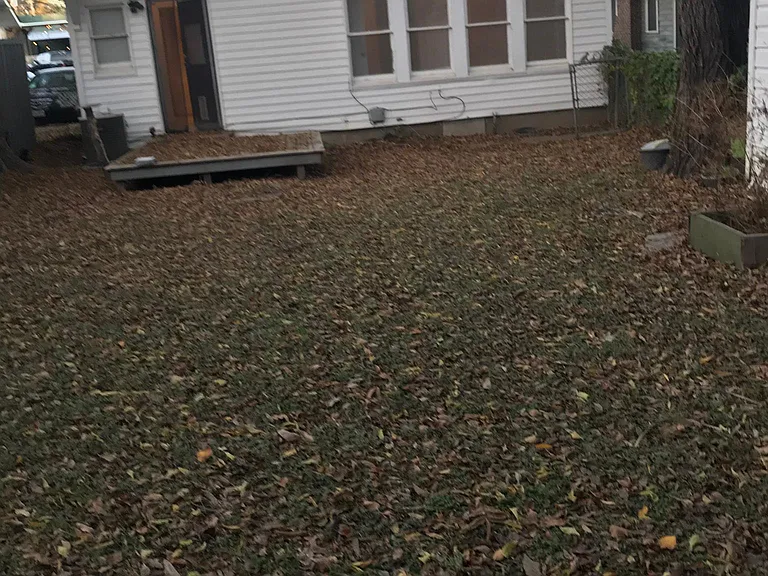 Backyard laundry room door on deck