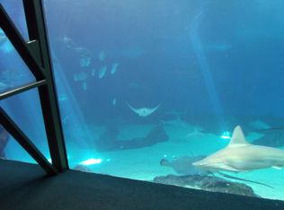 7235 N Buck Ridge Dr, Williams, AZ 86046