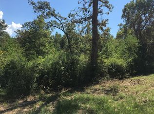 496 Onalaska East Dr, Onalaska, TX 77360
