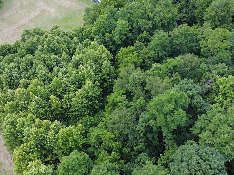 2nd image of 11880 Denmark Rd