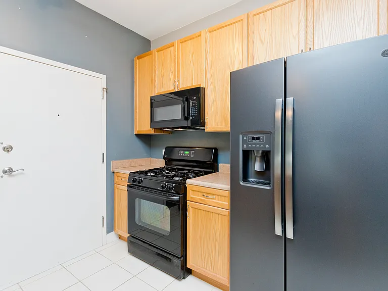 1515 S Halsted St #214 — Photo 9