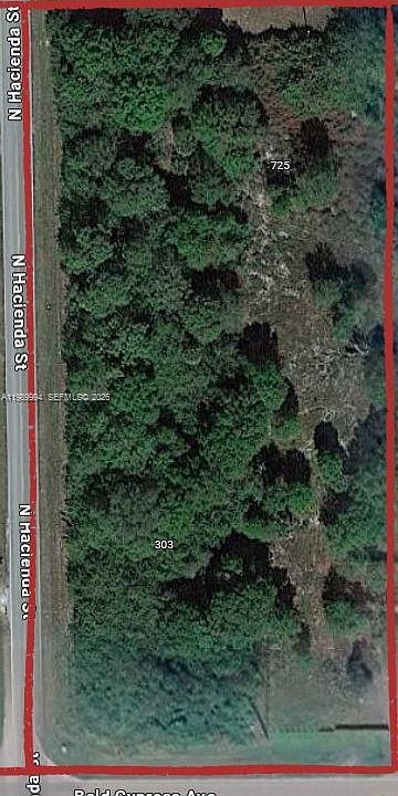 1st image of 303 Bald Cypress Ave