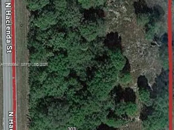 303 Bald Cypress Ave, Clewiston, FL 33440