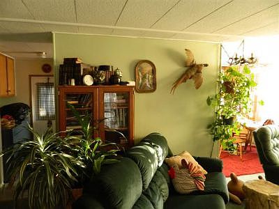 living room #2