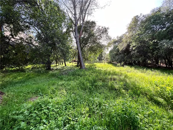 3356 Southlake Ct #9, Kelseyville, CA 95451