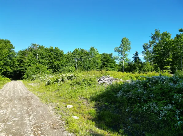 Lot 1 Dirty Glove Road, Springfield, ME 04487