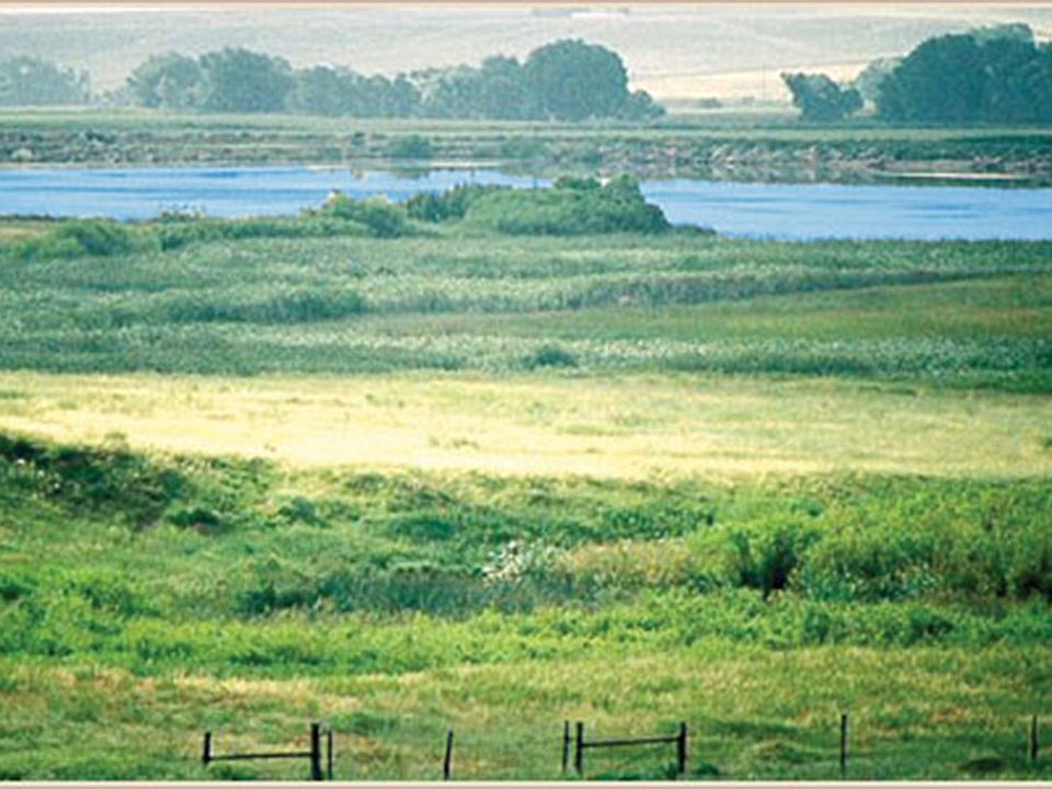 2nd image of 3586 Wadlow Ranch Rd