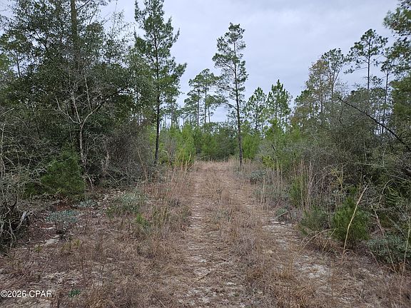 2nd image of 0 Singer Rd