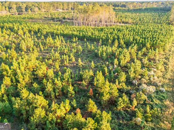 0 Nursery Rd, Blackshear, GA 31516