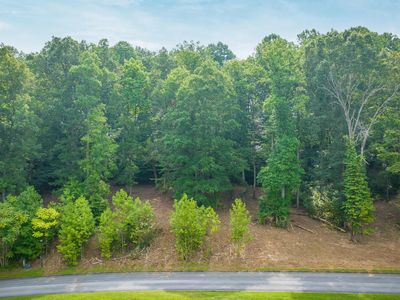 36 Chimney Top Ln, Chuckey, TN, 37641
