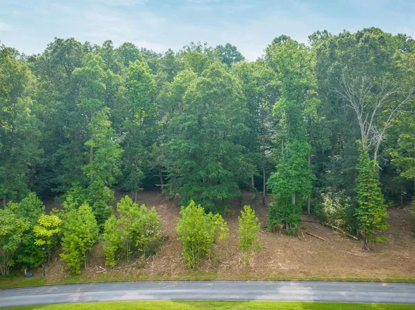 36 Chimney Top Ln, Chuckey, TN 37641