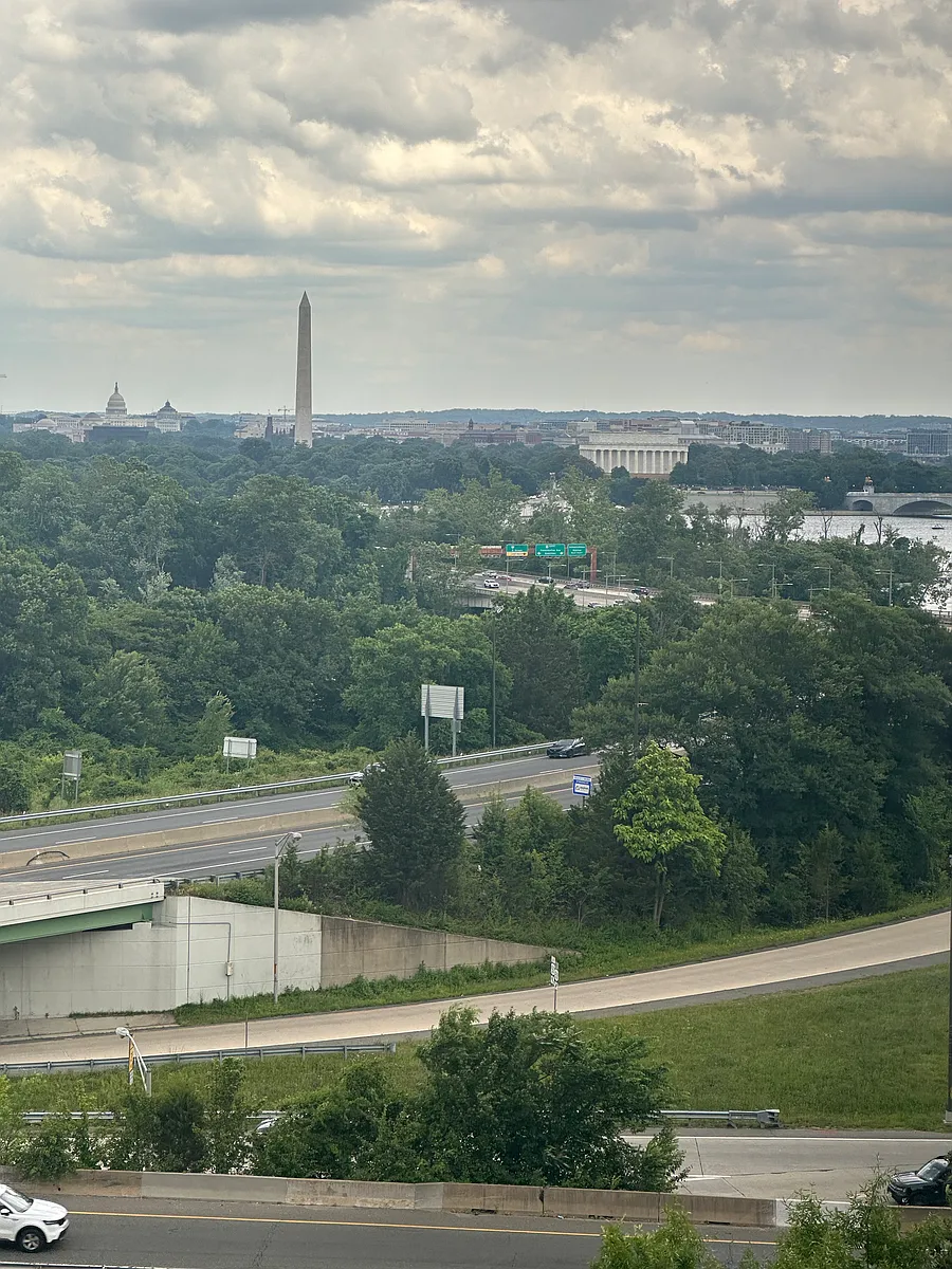 view from the complex - 1111 Arlington Blvd #89