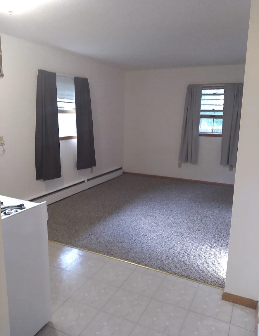 Studio, 399 sqft, $875 — Photo 3