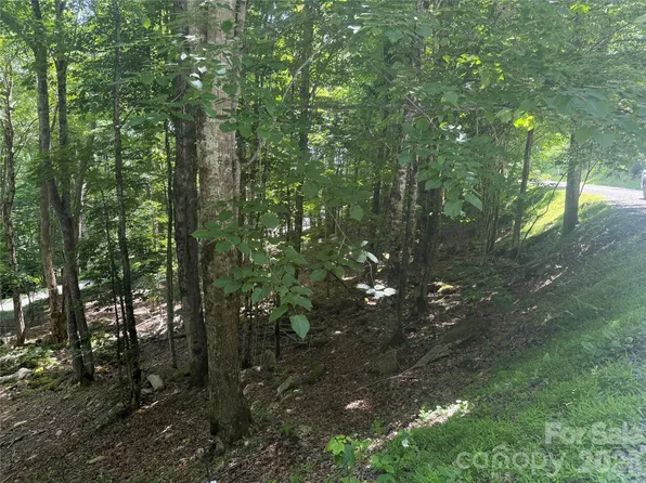 200 Wild Daisy Ln #200, Banner Elk, NC 28604