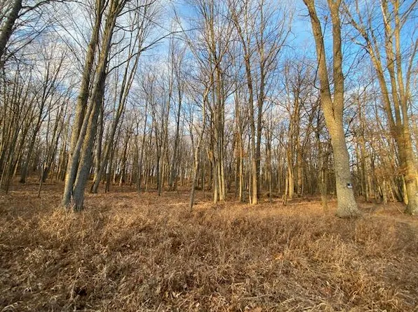 Lakewood Dr, Roscommon, MI 48653