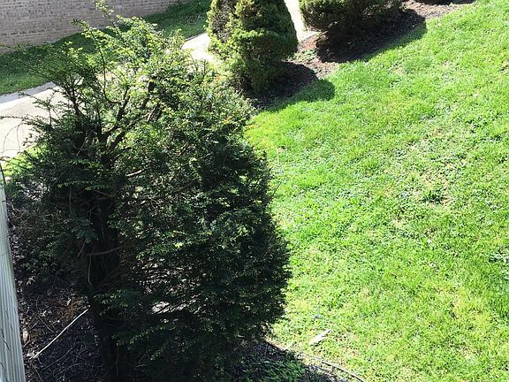5th image of 180 Saratoga Cir