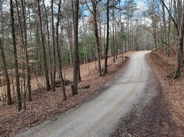 LOT-45A Synacia Dr, Mineral Bluff, GA 30559