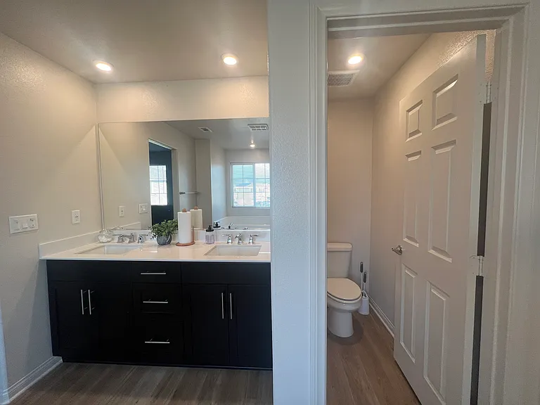 Master Vanity & Toilet