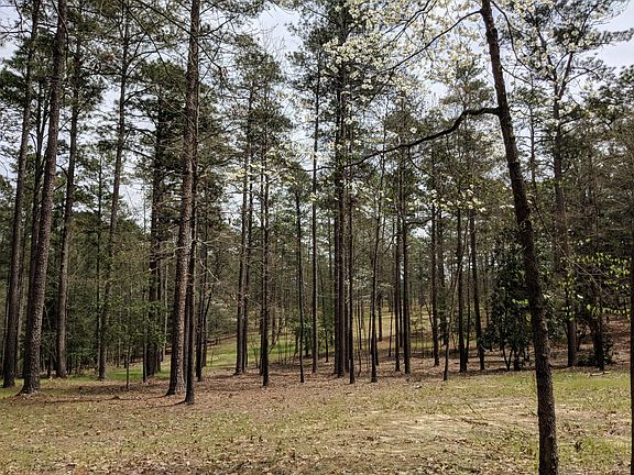 3rd image of Tbd Pine Needles Lane