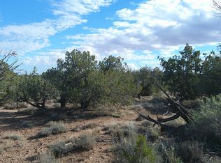 4123 W Juniper Rd, Snowflake, AZ 85937