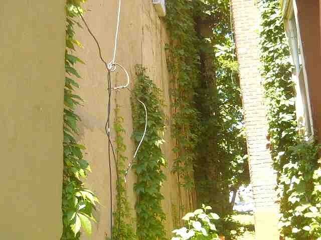 Property Side View