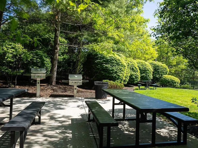 BBQ grills and picnic area