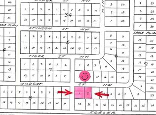 340 Wildcat St NW, LAKE PLACID, FL 33852
