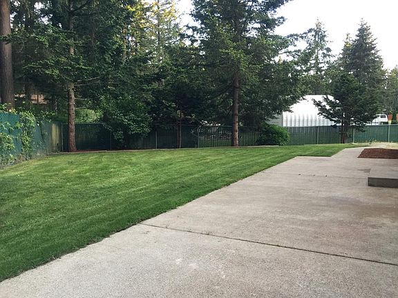 Back yard/patio
