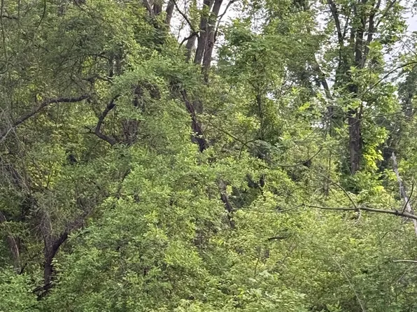 2972 Opal St, Indianapolis, IN 46268