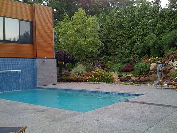 pool area and garden