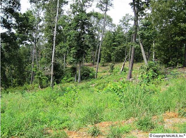 2nd image of 20 County Road 904