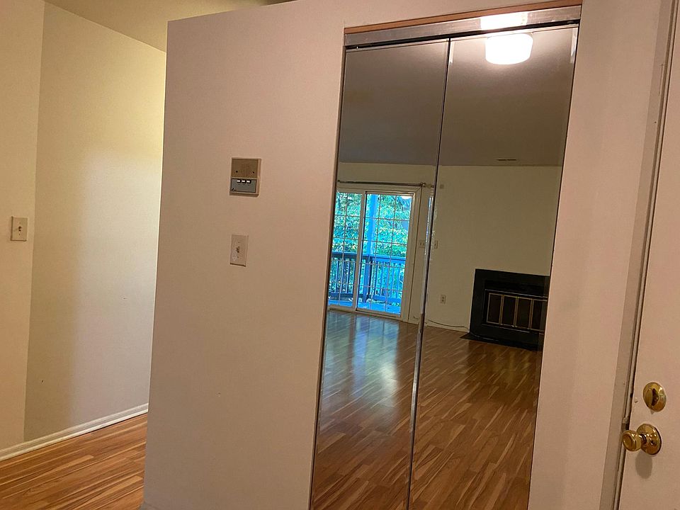 Entry way closet fireplace