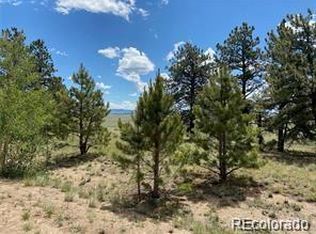 322 Angus Cir #987, Hartsel, CO 80449