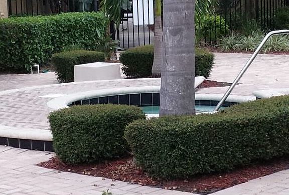4th image of 12293 Sailwinds Dr APT 107