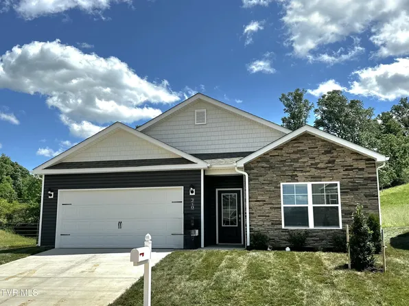 210 Golden Rod Dr, Bluff City, TN 37618