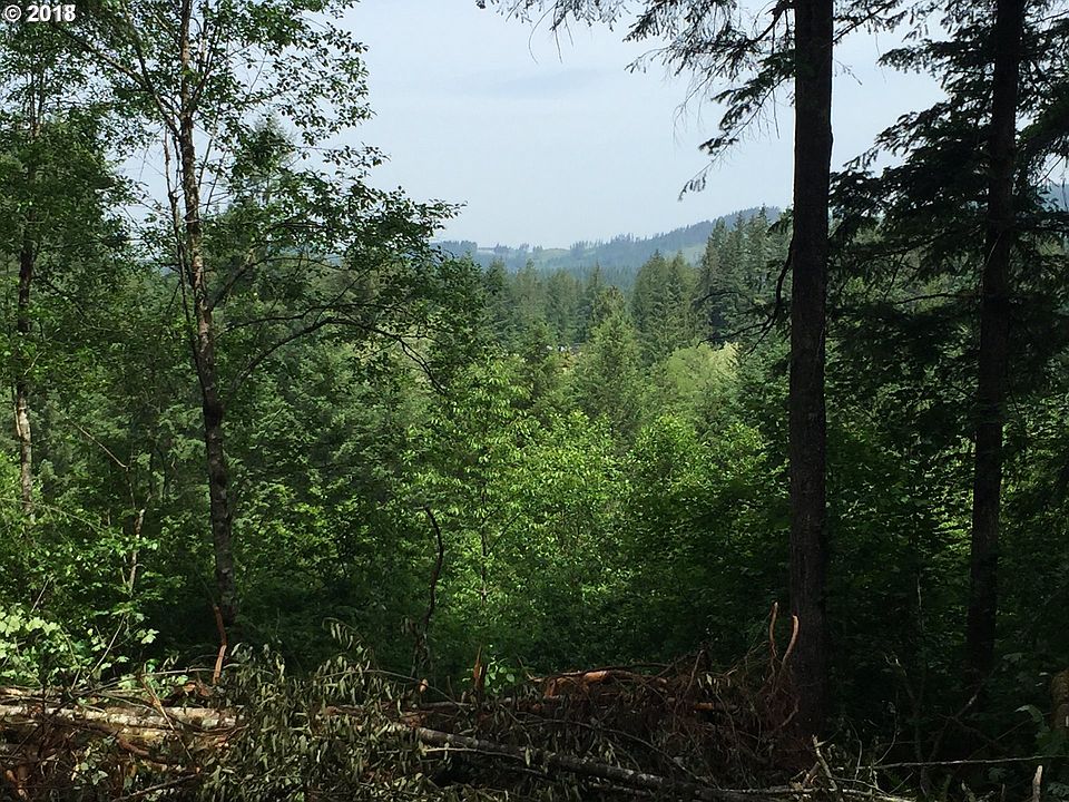 2nd image of 22203 NE 209th St